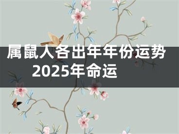属鼠人各出年年份运势2025年命运