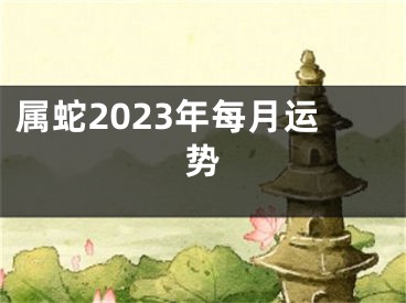 属蛇2023年每月运势