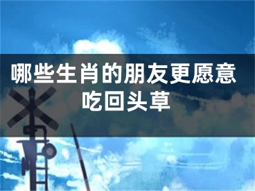 哪些生肖的朋友更愿意吃回头草