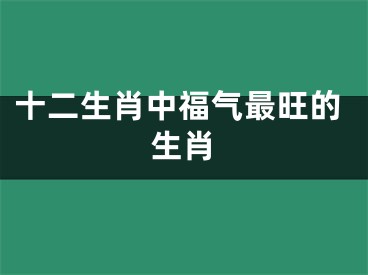 十二生肖中福气最旺的生肖