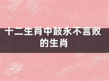 十二生肖中鼓永不言败的生肖