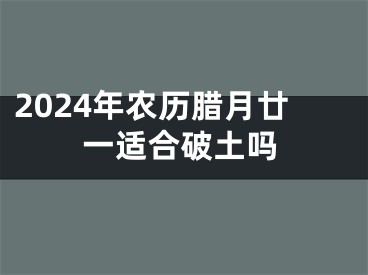 2024年农历腊月廿一适合破土吗