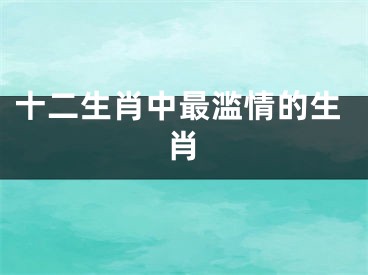 十二生肖中最滥情的生肖