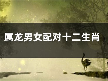 属龙男女配对十二生肖