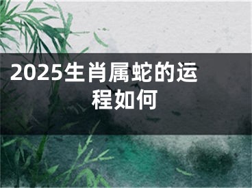 2025生肖属蛇的运程如何