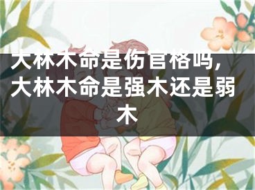 大林木命是伤官格吗,大林木命是强木还是弱木