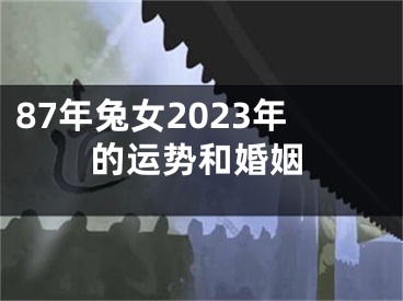 87年兔女2023年的运势和婚姻