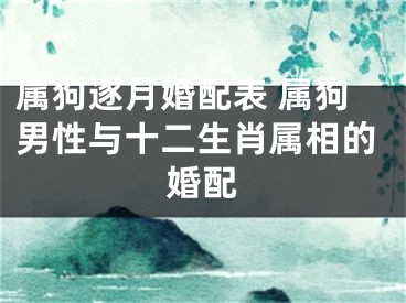 属狗逐月婚配表 属狗男性与十二生肖属相的婚配