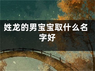 姓龙的男宝宝取什么名字好
