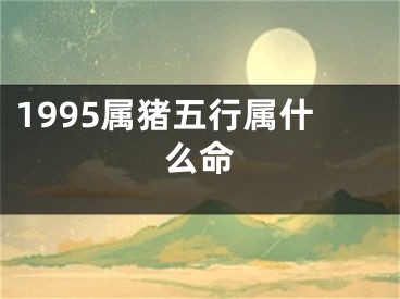 1995属猪五行属什么命