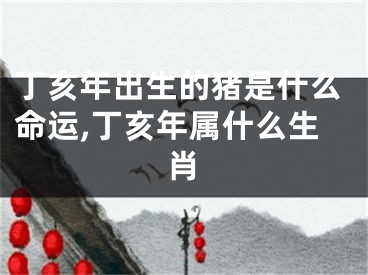丁亥年出生的猪是什么命运,丁亥年属什么生肖