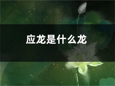 应龙是什么龙
