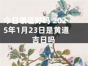 今日领证好吗 2025年1月23日是黄道吉日吗