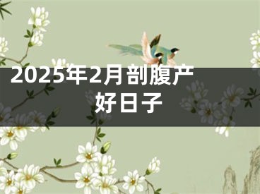 2025年2月剖腹产好日子