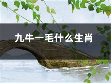 九牛一毛什么生肖