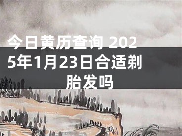 今日黄历查询 2025年1月23日合适剃胎发吗
