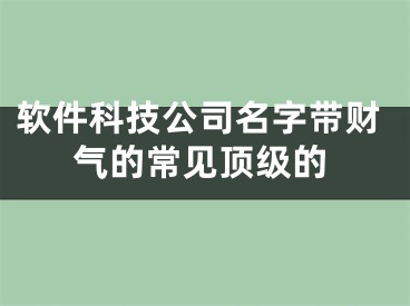 软件科技公司名字带财气的常见顶级的