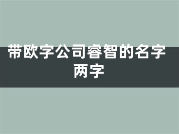带欧字公司睿智的名字两字