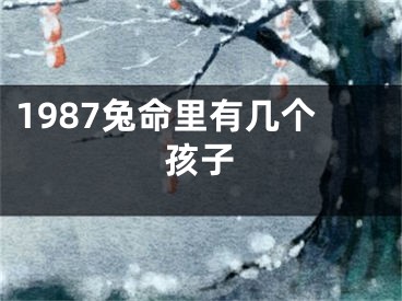 1987兔命里有几个孩子