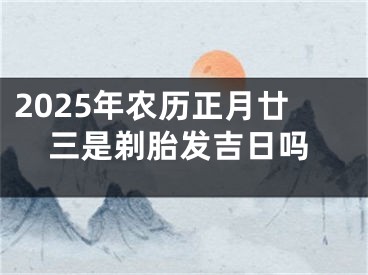 2025年农历正月廿三是剃胎发吉日吗
