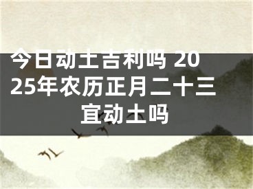今日动土吉利吗 2025年农历正月二十三宜动土吗