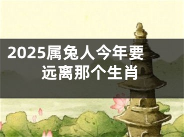 2025属兔人今年要远离那个生肖