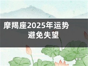 摩羯座2025年运势避免失望