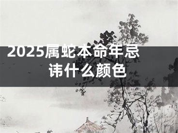 2025属蛇本命年忌讳什么颜色