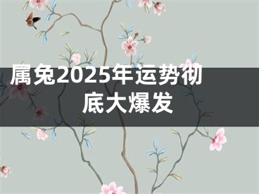 属兔2025年运势彻底大爆发