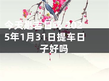 今天是吉日吗 2025年1月31日提车日子好吗