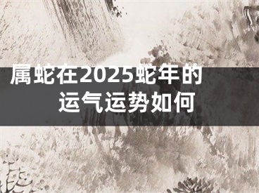属蛇在2025蛇年的运气运势如何