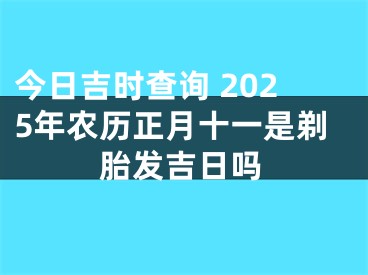 今日吉时查询 2025年农历正月十一是剃胎发吉日吗