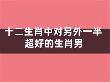 十二生肖中对另外一半超好的生肖男