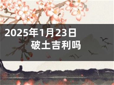 2025年1月23日破土吉利吗