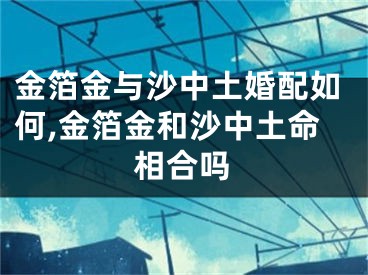 金箔金与沙中土婚配如何,金箔金和沙中土命相合吗