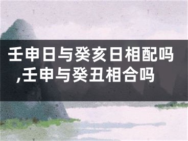 壬申日与癸亥日相配吗,壬申与癸丑相合吗