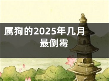 属狗的2025年几月最倒霉