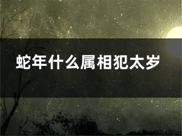 蛇年什么属相犯太岁