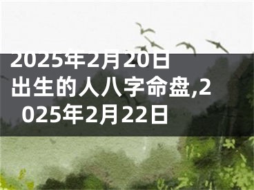 2025年2月20日出生的人八字命盘,2025年2月22日