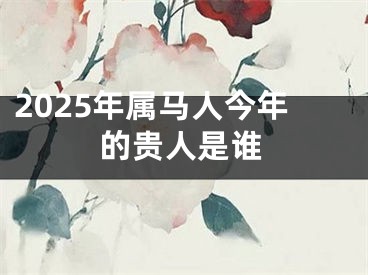 2025年属马人今年的贵人是谁
