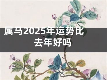 属马2025年运势比去年好吗