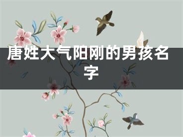 唐姓大气阳刚的男孩名字