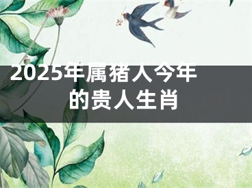 2025年属猪人今年的贵人生肖