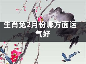 生肖兔2月份哪方面运气好