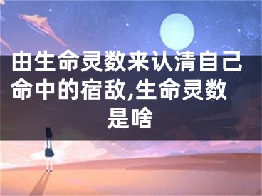 由生命灵数来认清自己命中的宿敌,生命灵数是啥