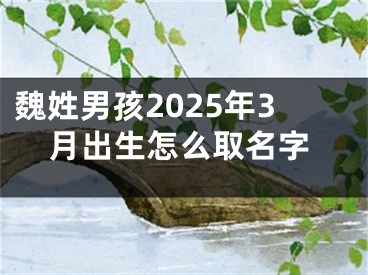 魏姓男孩2025年3月出生怎么取名字