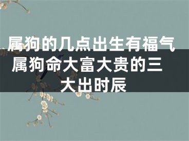 属狗的几点出生有福气 属狗命大富大贵的三大出时辰