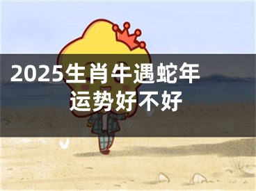 2025生肖牛遇蛇年运势好不好