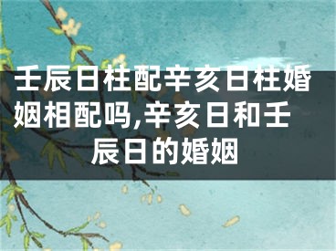 壬辰日柱配辛亥日柱婚姻相配吗,辛亥日和壬辰日的婚姻