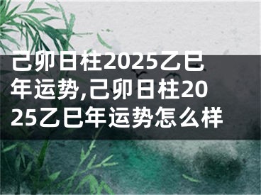 己卯日柱2025乙巳年运势,己卯日柱2025乙巳年运势怎么样
